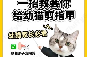 猫咪指甲修剪频率及方法解析（掌握合适的修剪时间，保护猫咪的爪子健康）