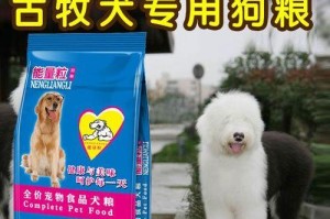 古代牧羊犬的禁食清单（宠物健康，从饮食开始；这些食物别让你的牧羊犬碰！）