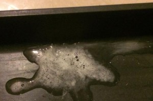 探究狗狗吐白沫的原因与处理方法（了解狗狗吐白沫的常见原因及有效的解决方案）