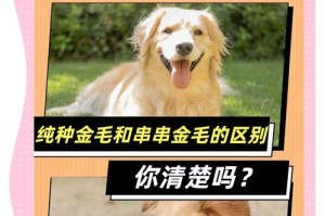 金毛尴尬期之谜（金毛狗的尴尬期能持续多长时间？是正常现象还是健康问题？）