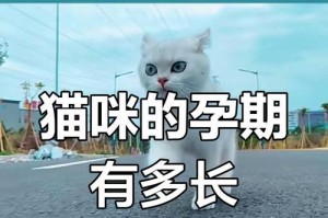 母猫不见多久小猫会叫（探究小猫叫声对母猫离开的反应及其关键因素）