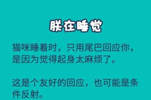 猫咪摇尾巴的秘密（解读猫咪摇尾巴的语言，了解它们内心的真实感受）