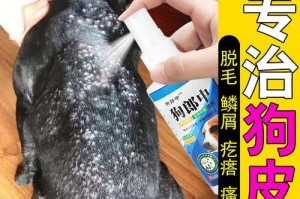狗狗的脱毛原因与解决办法（帮助狗狗摆脱多余毛发，让它恢复健康与美丽）