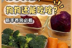 狗狗打虫全攻略（探索狗狗打虫的正确方法，让它们远离虫害困扰）