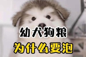 狗粮泡水的必要性与替代选择（狗粮泡水的优缺点及泡水时间的选择）