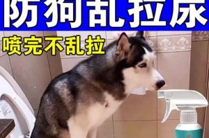 如何训练幼犬大小便（宠物养护的关键之一）