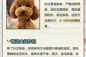 狗粮与泰迪犬的饲养时长分析（四斤狗粮足够泰迪吃多久？解密养宠小知识）
