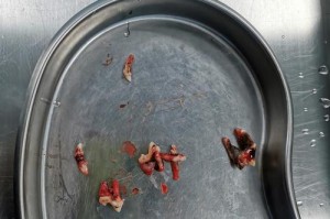 狗洗完牙后多久可以喝水？（了解正确的等待时间，保障狗狗的口腔健康）