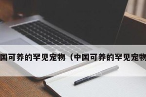 宠物狗训练的奖惩并施（用正面方法训练你的狗狗，打造快乐的成长之路）