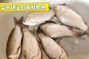 猫吞线引起反应的时间及影响因素（探索猫吞线对猫咪的潜在危害及应对策略）