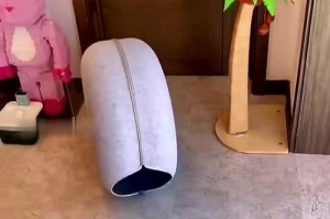 如何选择适合两只猫的猫窝（让你的猫咪安心休憩的窝选购指南）