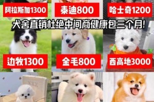 世界犬类大全（探索犬类的多样性与美丽）