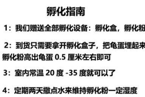 佛州甜甜圈龟的饲养方法（一步步教你如何照顾甜甜圈龟，让它健康成长）