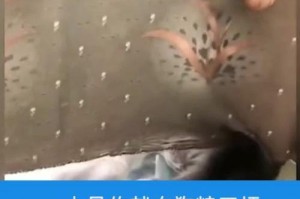 以喂狗粮是什么意思？（了解狗粮对宠物狗的重要性及饲养建议）