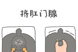 揭秘狗狗肛门腺的神奇作用（探秘肛门腺为何对狗狗如此重要）