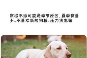 狗狗生病了，要注意这些症状（了解狗狗生病的前兆，提早发现并治疗）