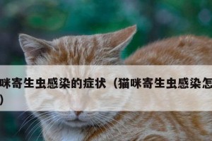 猫咪常见寄生虫及预防措施（猫咪的健康需要你的关注）