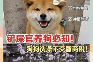新买的小狗需要多久洗澡？（为了宠物健康，小狗的第一次洗澡时机关键）