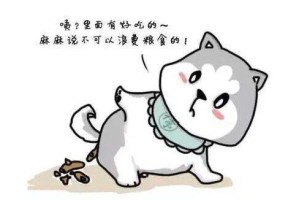 狗狗每天应该喝多少水？（养宠物必备知识，了解狗狗的水分需求）