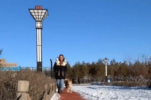 为什么狗狗走后不走前？（揭开狗狗为何走后不走前的谜团）