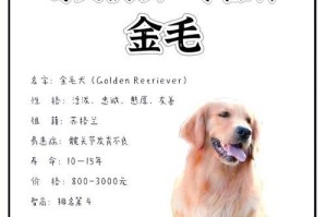 金毛犬的价格与购买指南（金毛犬价格的影响因素及购买注意事项）