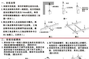 白点吊的全面饲养指南（如何正确地养护白点吊，让它们健康快乐成长？）