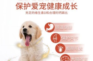 科学喂养边牧犬的边牧食量对照表（养边牧犬需谨慎，食量把握科学，一份对照表帮你搞定）