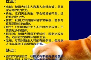 小柴犬与小秋田犬（探寻小柴犬和小秋田犬的差异，了解它们的个性与适应环境能力）