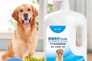 萨摩耶犬用品消毒指南（以日常怎样给你的宠物提供干净卫生的用品为主）