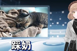 成猫为什么要踩奶？（探究成猫踩奶行为背后的原因和意义）