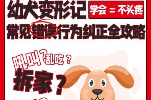 幼犬到家7大注意事项（如何顺利照顾幼犬，让它适应新家环境？）