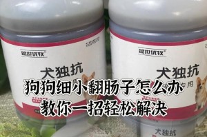 如何处理狗狗的肠胃炎问题？（金毛麦兜治疗肠胃炎经验分享）