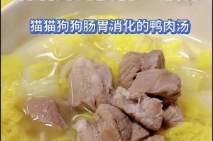 如何清理狗狗的肠胃问题（以合适的食物帮助狗狗恢复健康）