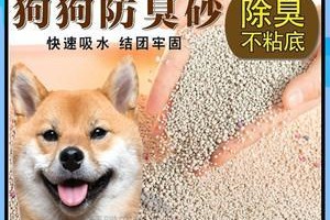 如何处理秋田犬便便中带血？（宠物健康的保障——正确处理秋田犬便便中带血）