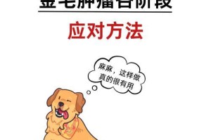 金毛幼崽的生长发育与护理指南（关注金毛幼崽的身体指标与注意事项，助您做好照料工作）