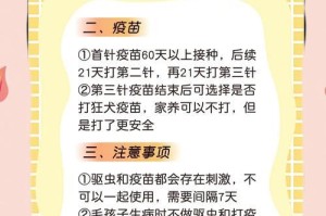 幼犬健康护理（了解幼犬前期驱虫和疫苗的时间和方法，确保健康成长）