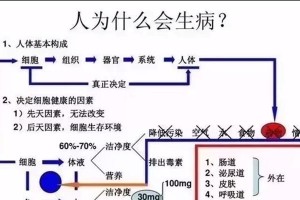 戴氏多鳍鱼的饲养方法（了解戴氏多鳍鱼的特点，打造舒适的水族箱环境）