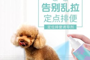 寻找最适合您的诱导剂品牌（为您提供选择最佳诱导剂品牌的全面指南）