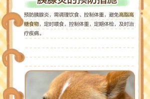 狗狗腹痛的原因及处理方法（了解狗狗腹痛的常见原因，提供有效的处理方法和预防建议）
