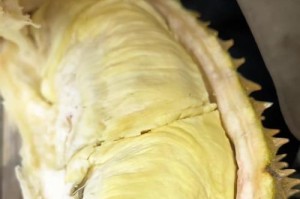 食物中毒（揭开隐藏的食品危机，让你避免食物中毒的坑）