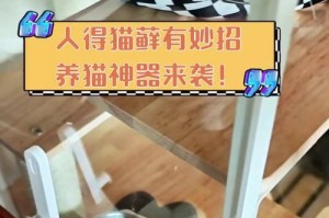 人得猫癣的注意事项（预防与治疗的关键）
