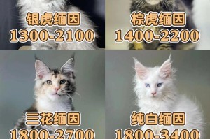 缅因猫幼崽（探究缅因猫幼崽的价格和饲养优缺点，了解这个可爱品种的魅力）