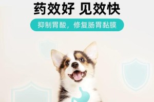 犬肠肠炎的治疗药物（选择合适药物是关键）