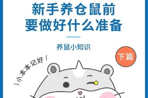 养仓鼠必看（新手养仓鼠必备知识，了解如何正确照顾你的小宠物。）