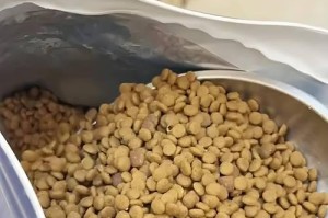 蓝猫的饮食习惯（探索蓝猫的食谱及适宜食品）