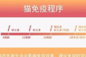 猫被打后的康复时间及方法研究（探讨猫被打后的康复过程，为伤势恢复提供帮助）