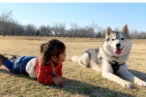 狗为何如此喜欢闻你？（探索狗闻人的奥秘与意义）