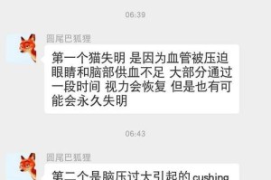 猫的休克症状及处理方法（了解猫的休克症状，及时采取应对措施）