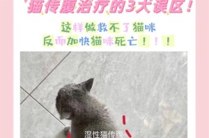 与猫同居，需警惕的人传疾病（小心！与可爱的喵星人共享的健康隐患）
