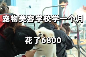 去宠物美容学校需要交哪些费用？（了解宠物美容学校的费用结构及支付方式）